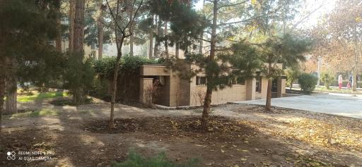 سرویس بهداشتی