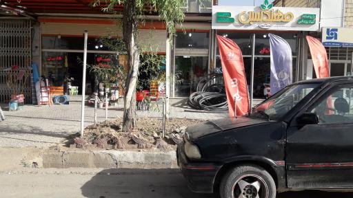 عکس 1 — داروخانه گیاه پزشکی