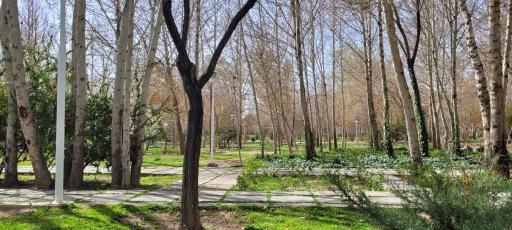 عکس 2 — پارک مشتاق دوم