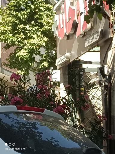 عکس 5 — داروخانه سمیرا رمضانی
