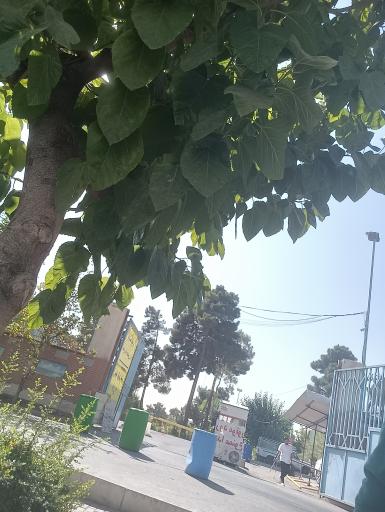 پارکینگ عمومی باغ رضوان مصلی