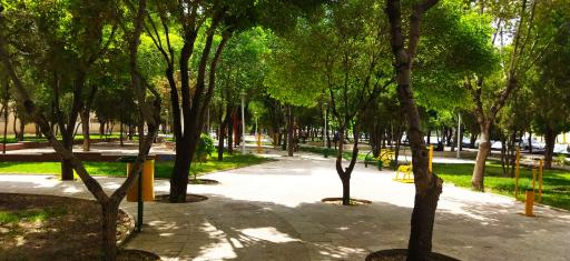 شیخ بهایی