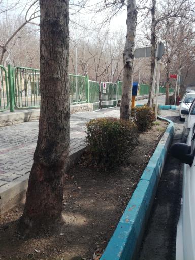 عکس 2 — پارکینگ شماره 3 باغ غدیر
