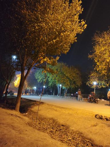 عکس 1 — پارکینگ پارک جنگلی ناژوان