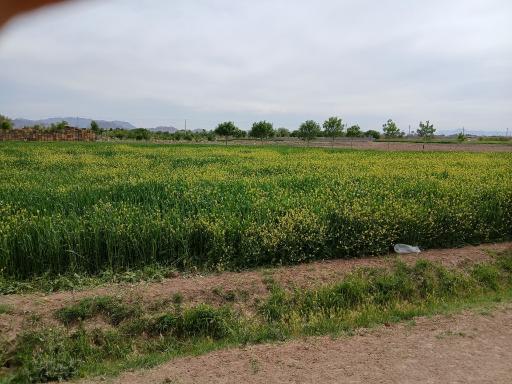 عکس 1 — بابوکان جنوبی
