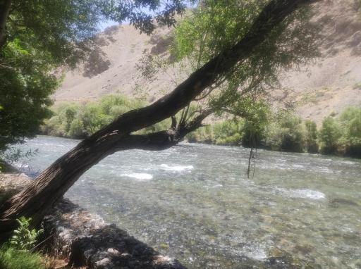 عکس 3 — پارک جنگلی سد زاینده رود