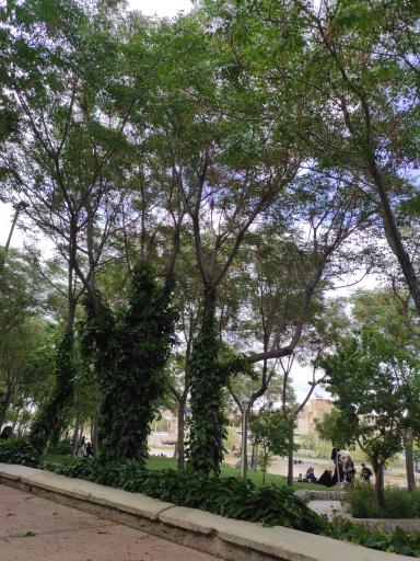 عکس 3 — پارک زاینده رود