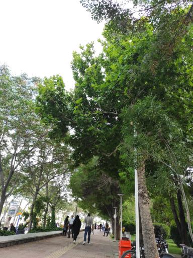 عکس 4 — پارک زاینده رود