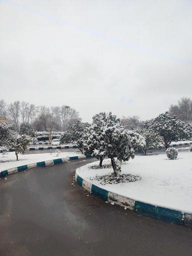 پارکینگ باغ گلها