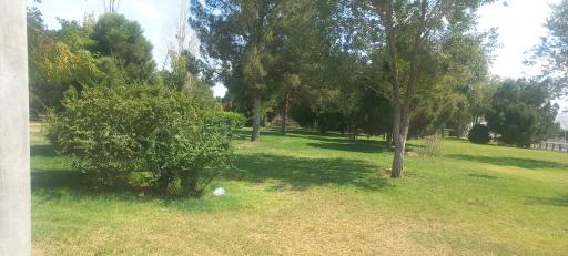 عکس 5 — پارک برکه شهرک ۲۲ بهمن
