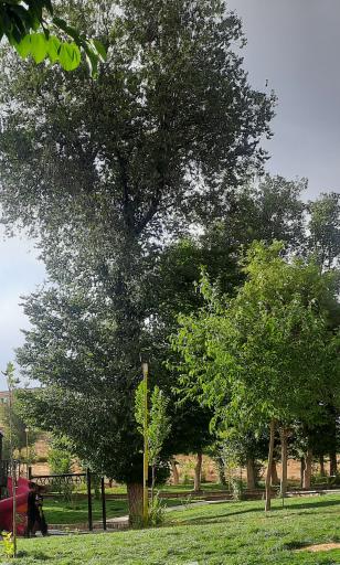 عکس 8 — پارک آبشار