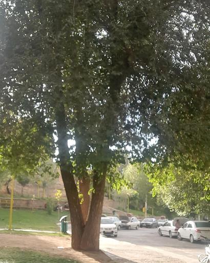عکس 9 — پارک آبشار
