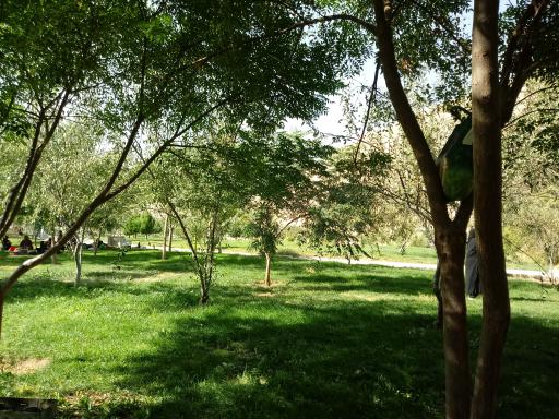 عکس 6 — پارک کوهسار (آبشار)