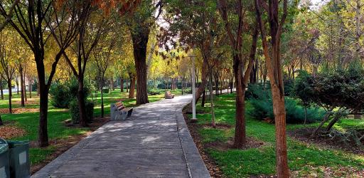 عکس 2 — پارک آبشار دوم