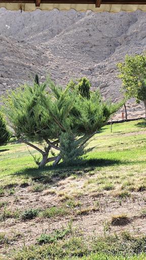 عکس 4 — پارک کوهستانی آبشار
