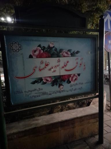 عکس 2 — پاتوق محله علمشاهی