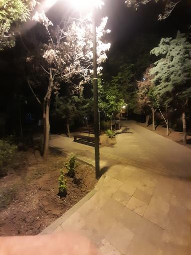عکس 2 — بوستان تاکستان