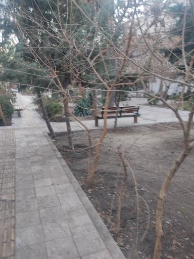 عکس 3 — بوستان تاکستان