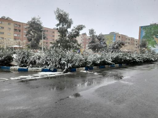عکس 3 — پارک محلی