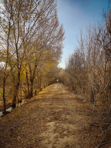 عکس 10 — پارک بزرگ حبیب آباد