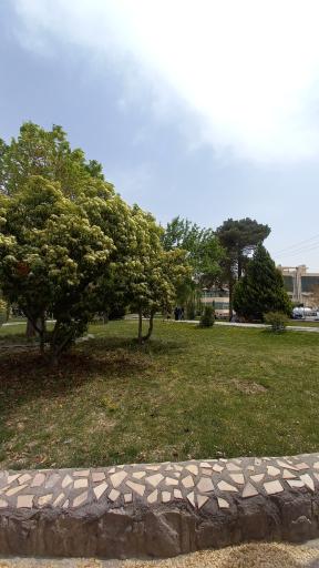 عکس 3 — پارک