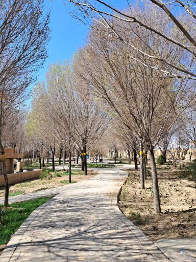 عکس 4 — بوستان شفق