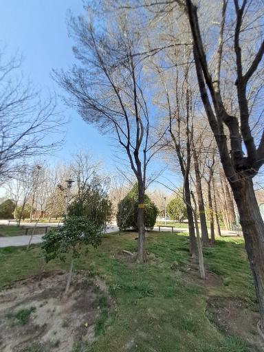 عکس 7 — بوستان شفق