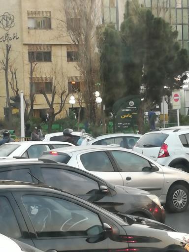 عکس 3 — بوستان یاس