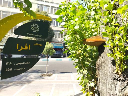 عکس 8 — بوستان افرا