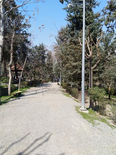 عکس 3 — بوستان جنگلی طالقانی