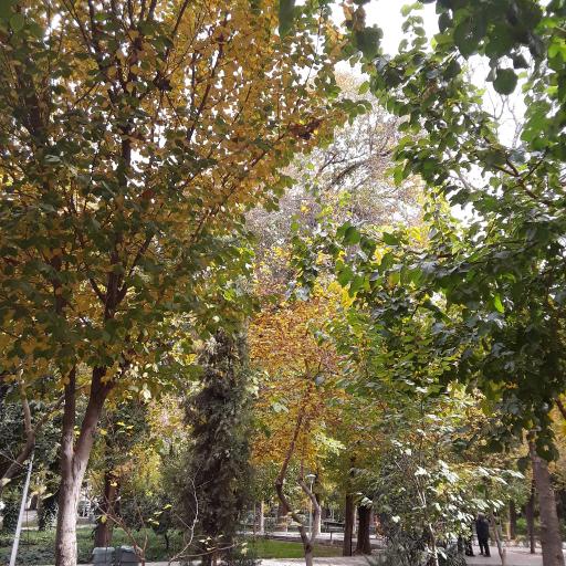 عکس 6 — بوستان همافر