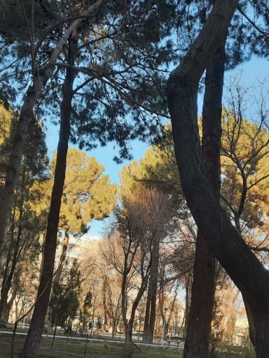 عکس 8 — بوستان همافر