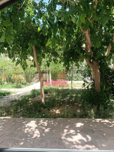 پارک فراز