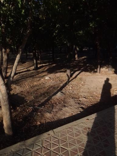 عکس 2 — پارک آزادگان