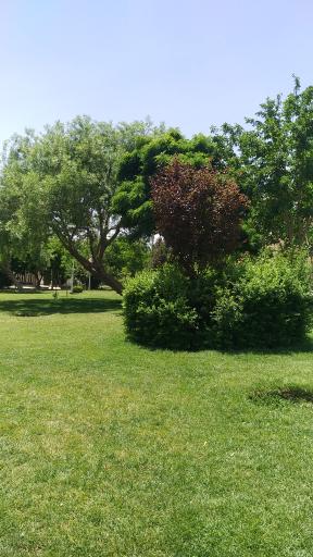 عکس 2 — بوستان شهدای کنگاز