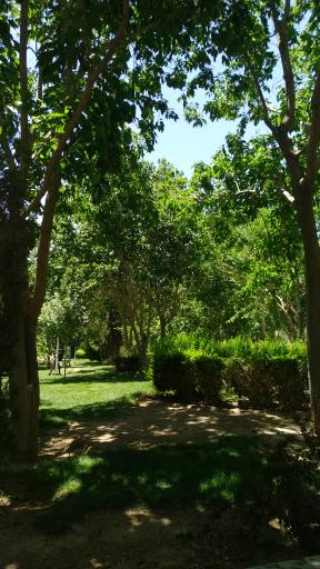عکس 3 — بوستان شهدای کنگاز