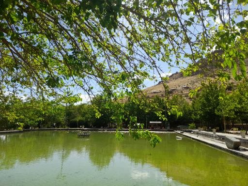 عکس 8 — پارک معلم