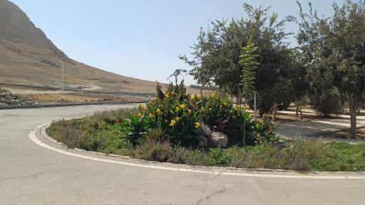عکس 4 — پارک کوهستانی پردیس اشراق