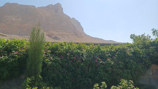 عکس 5 — پارک کوهستانی پردیس اشراق