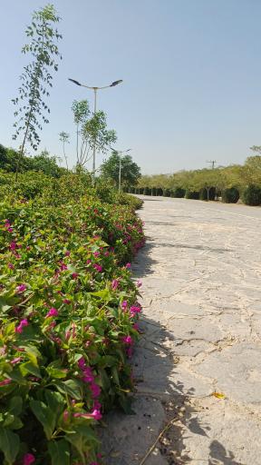 عکس 6 — پارک کوهستانی پردیس اشراق