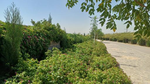 عکس 8 — پارک کوهستانی پردیس اشراق
