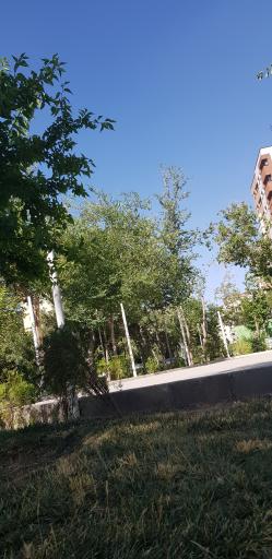عکس 4 — بوستان صفا