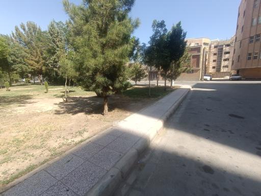 عکس 2 — پارک توحید