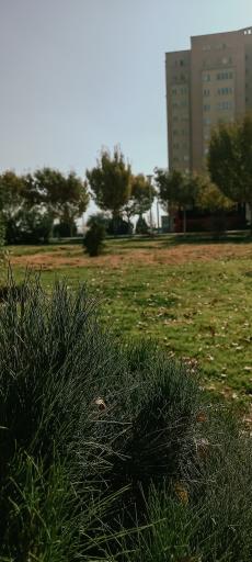 عکس 4 — بوستان میلاد