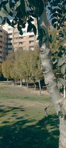 عکس 5 — بوستان میلاد