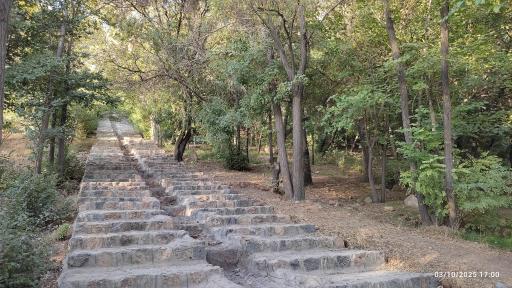عکس 2 — پارک جنگلی پرتیکان