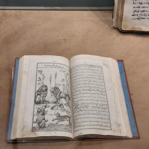 عکس 9 — موزه امیرکبیر