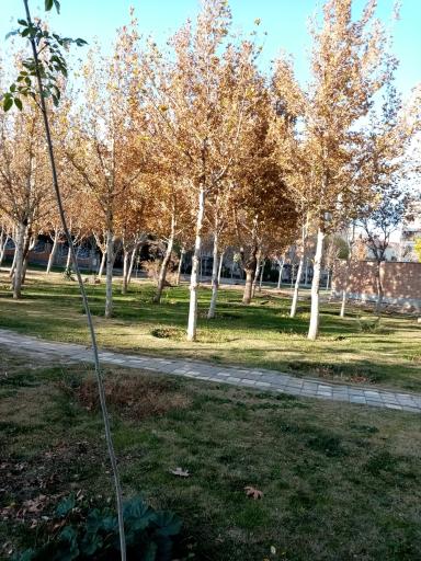 عکس 10 — پارک مهربانی