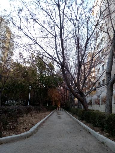 عکس 3 — پارک مهربانی