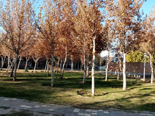 عکس 7 — پارک مهربانی